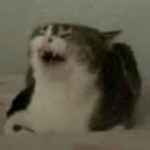 Meet your Posher, Aria